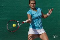 korzeniak annaqf023itf aurisina2014